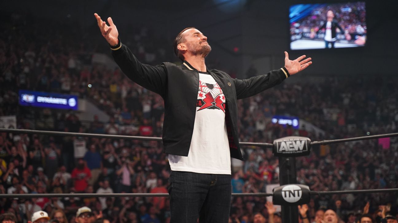 CM Punk