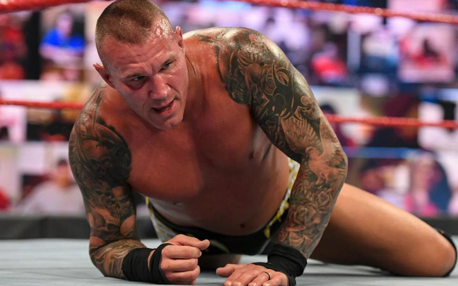 Randy Orton