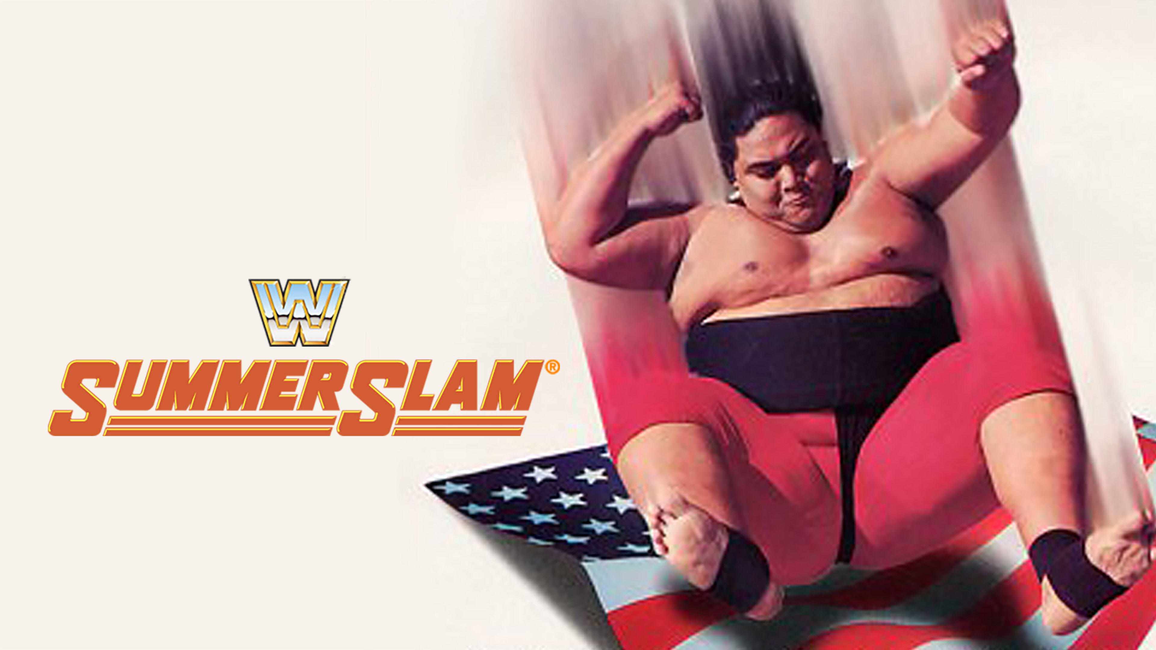 WWF SummerSlam 1993 poster