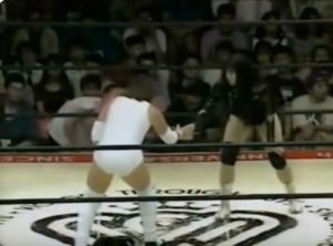 manami toyota yumiko hotta ajw 1995