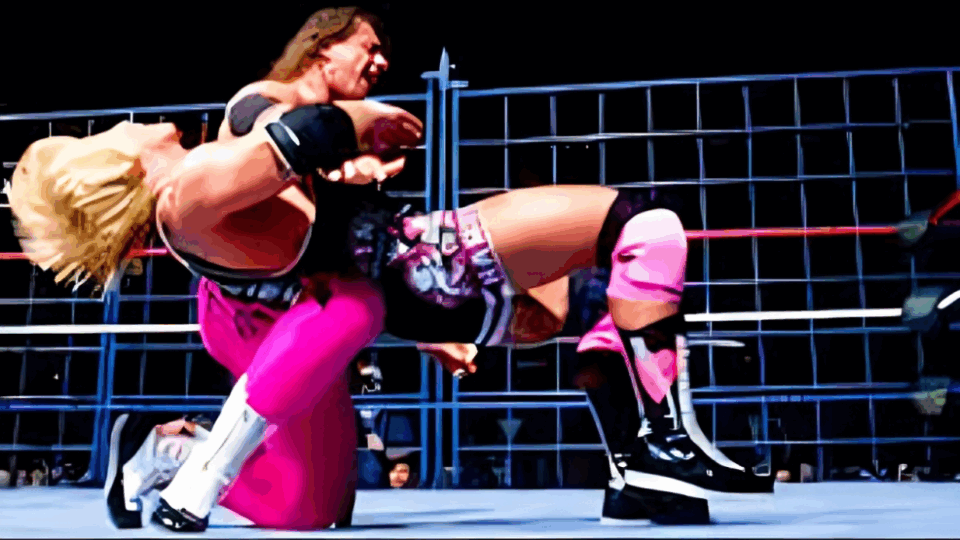 bret hart vs owen hart wwf summerslam 1994 steel cage match wwe championship