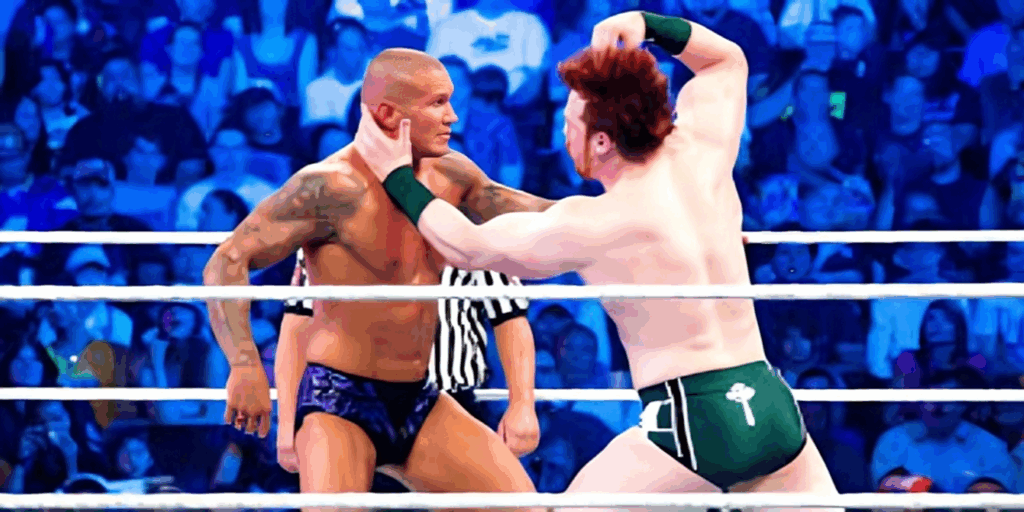 sheamus vs randy orton wwe summerslam 2010