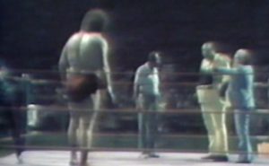 Andre DVD Vs Gorilla