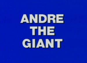 Andre DVD logo
