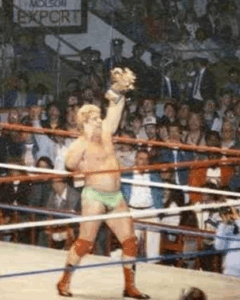 Dino Bravo