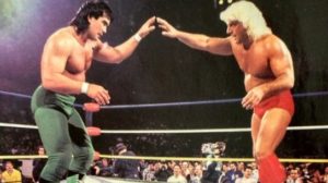 WCW Fan Favourites Flair Steamboat