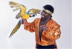 Milan Koko B Ware