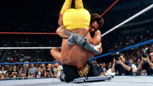 Survivor Series 1991 Hogan Undertaker
